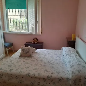 Affittacamere Room Rental Pisa